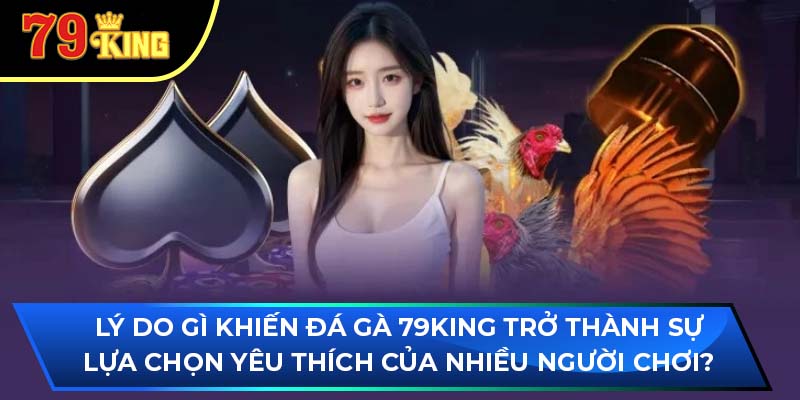 Lý do gì khiến đá gà 79King trở thành sự lựa chọn yêu thích của nhiều người chơi?