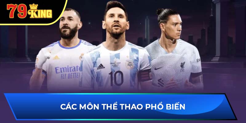 Các môn thể thao phổ biến