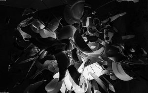 Read more about the article A Practical Guide to Sharper Photographs Every Time