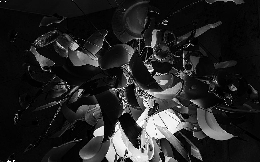 Read more about the article A Practical Guide to Sharper Photographs Every Time
