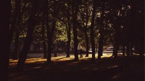 Read more about the article Shooting in Harsh Sun Without Blown Highlights