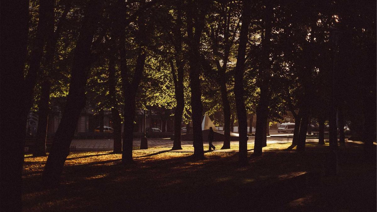 Read more about the article Shooting in Harsh Sun Without Blown Highlights