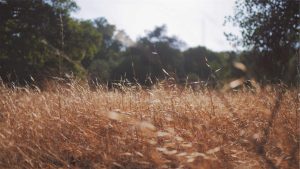 Read more about the article A Simple Photo Backup System That Never Fails