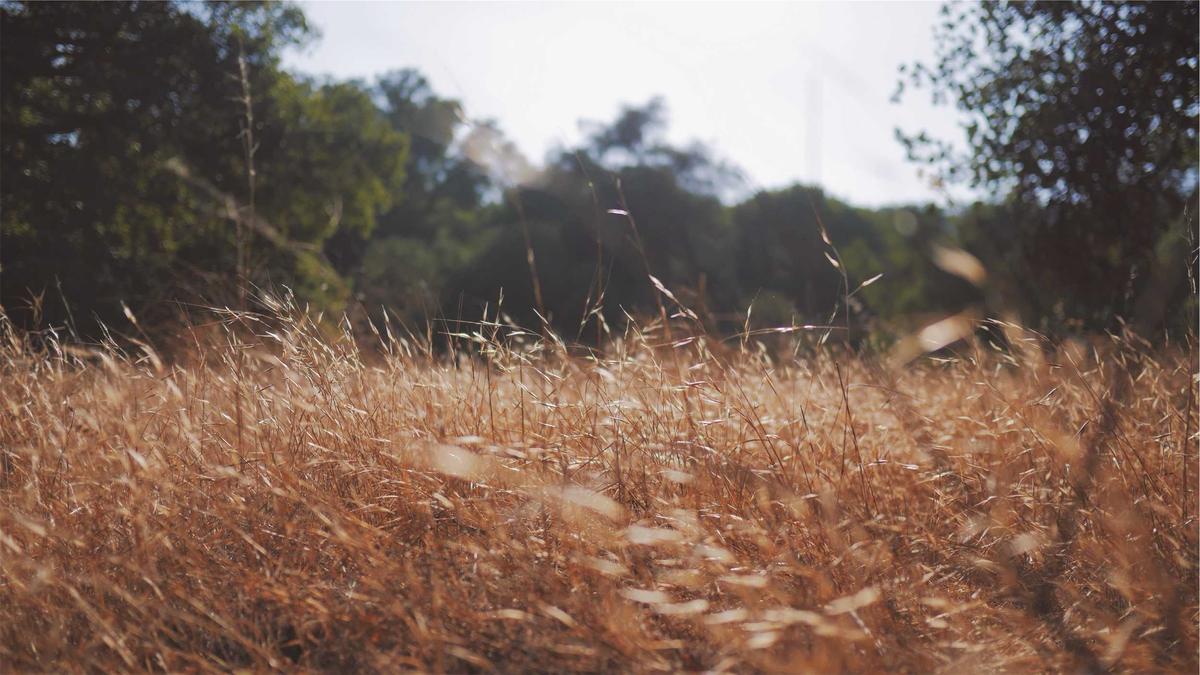 Read more about the article A Simple Photo Backup System That Never Fails
