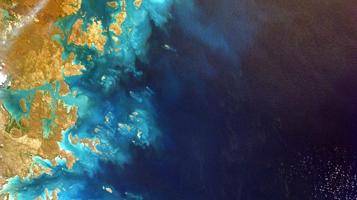 You are currently viewing Environmental Portraits That Tell a Story